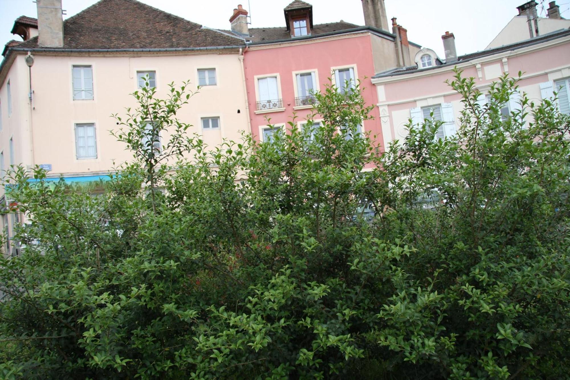 Appartement Haut De Gamme Centre Ville Chalon-sur-Saône Buitenkant foto